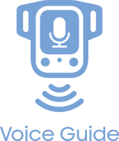 Voice Guide